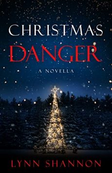 Christmas Danger romantic suspense