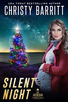 Silent night romantic suspense book