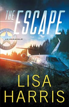 The Escape romantic suspense book